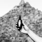 Pinnacle Everything Spray